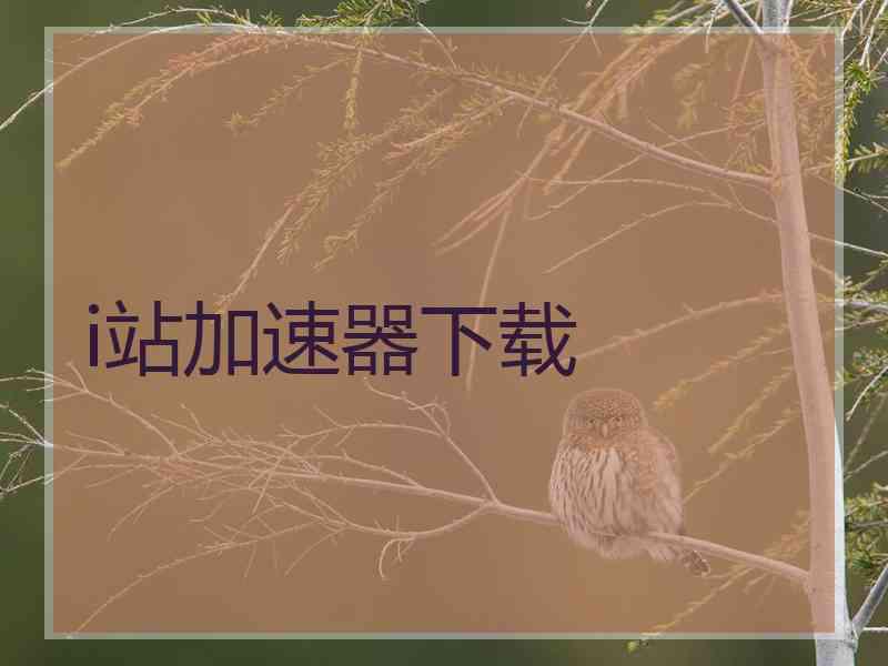 i站加速器下载