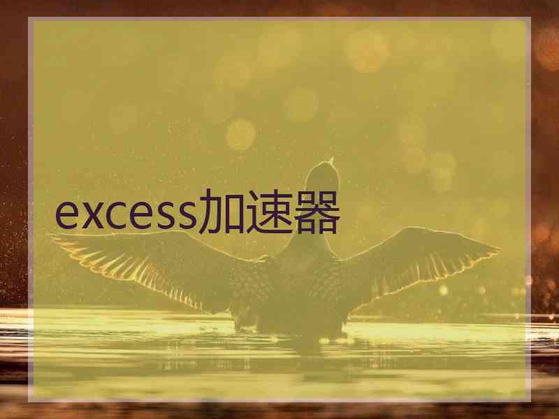 excess加速器