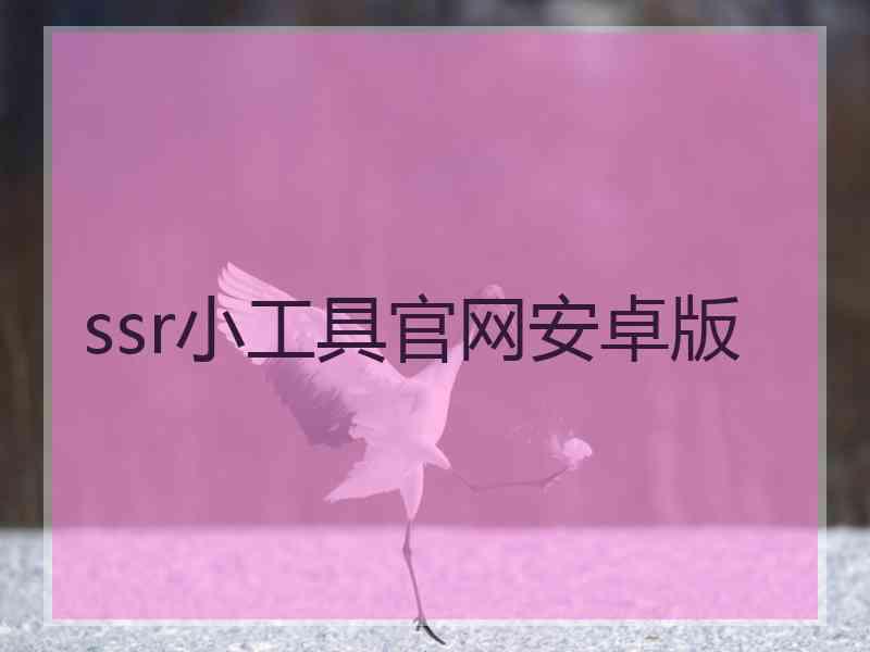 ssr小工具官网安卓版