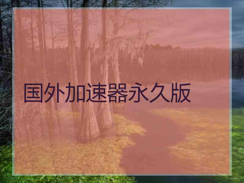 国外加速器永久版