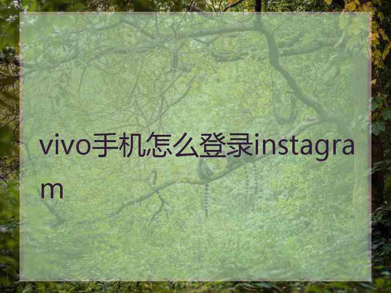 vivo手机怎么登录instagram