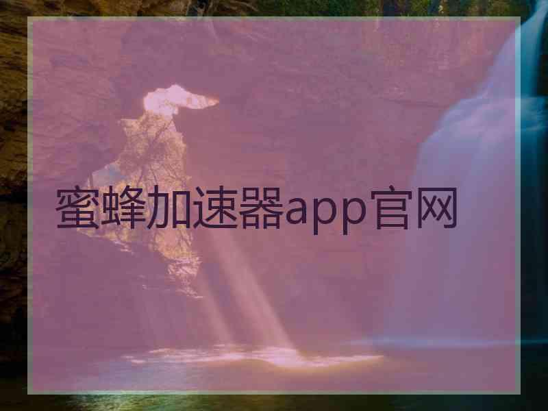 蜜蜂加速器app官网