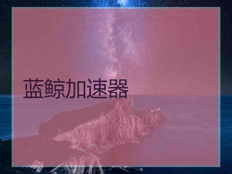 蓝鲸加速器