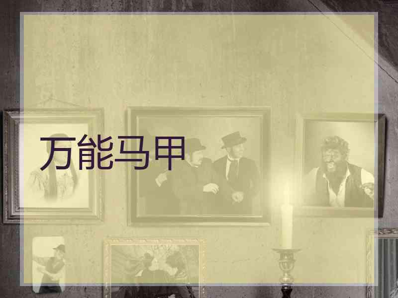 万能马甲