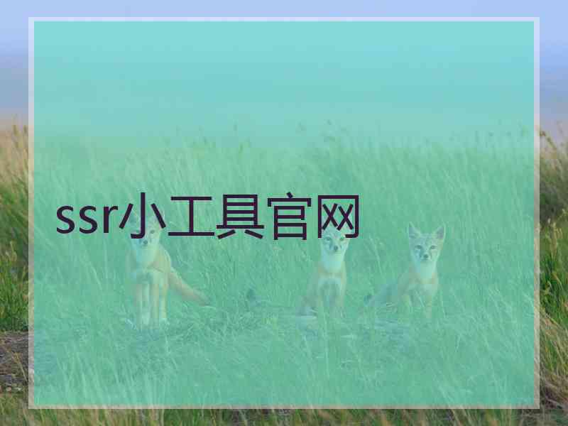 ssr小工具官网