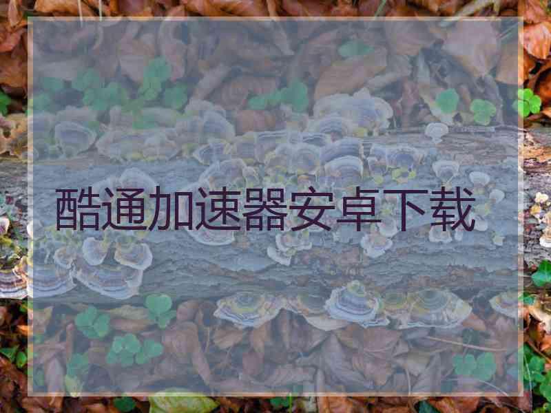 酷通加速器安卓下载