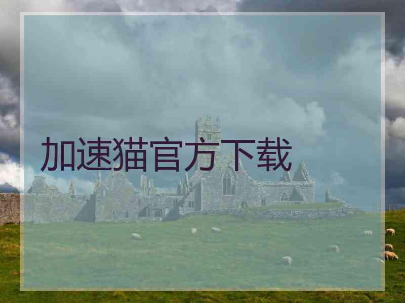 加速猫官方下载
