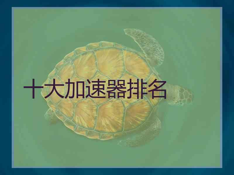 十大加速器排名