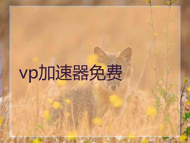 vp加速器免费