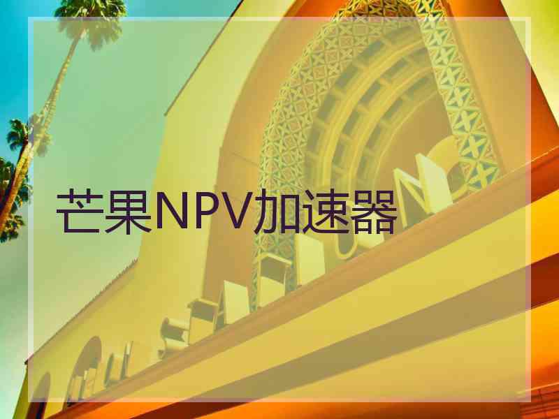 芒果NPV加速器