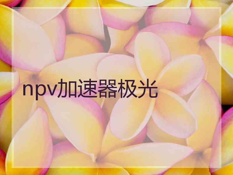 npv加速器极光