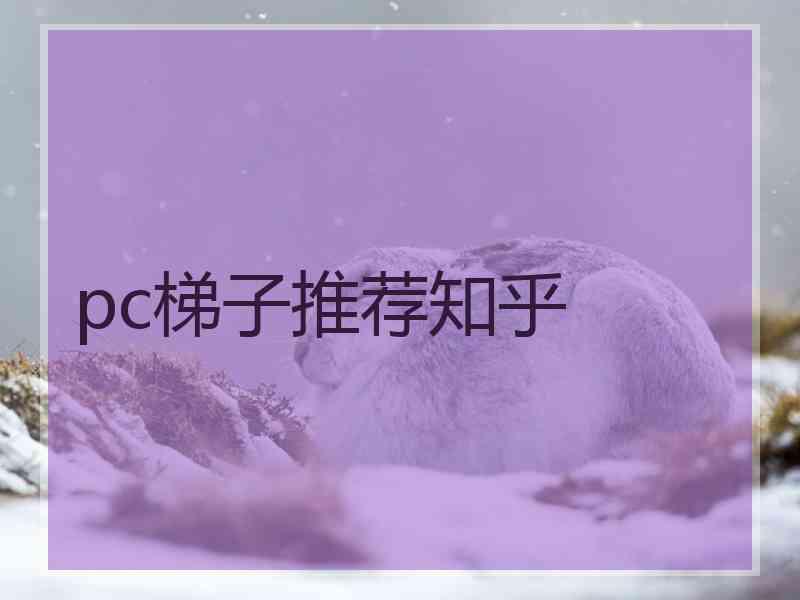 pc梯子推荐知乎