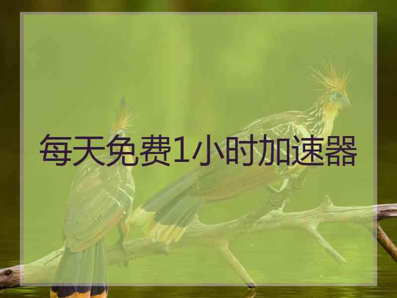 每天免费1小时加速器