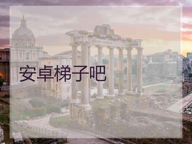 安卓梯子吧