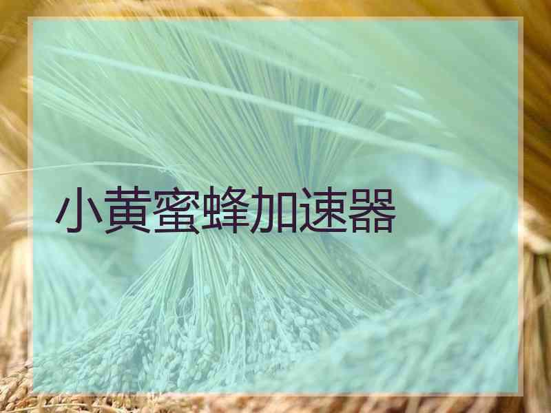 小黄蜜蜂加速器