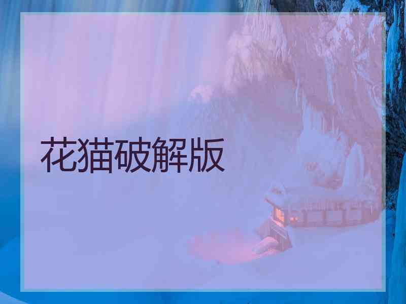花猫破解版