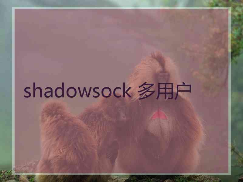 shadowsock 多用户
