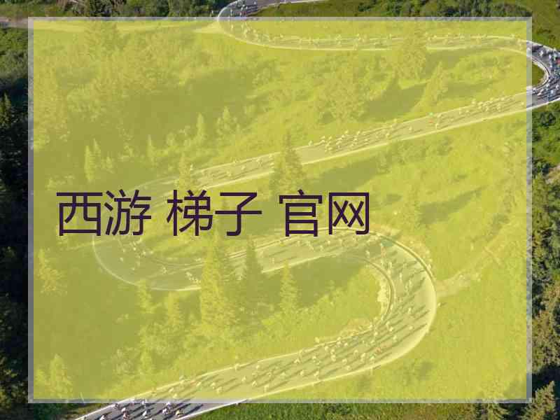 西游 梯子 官网