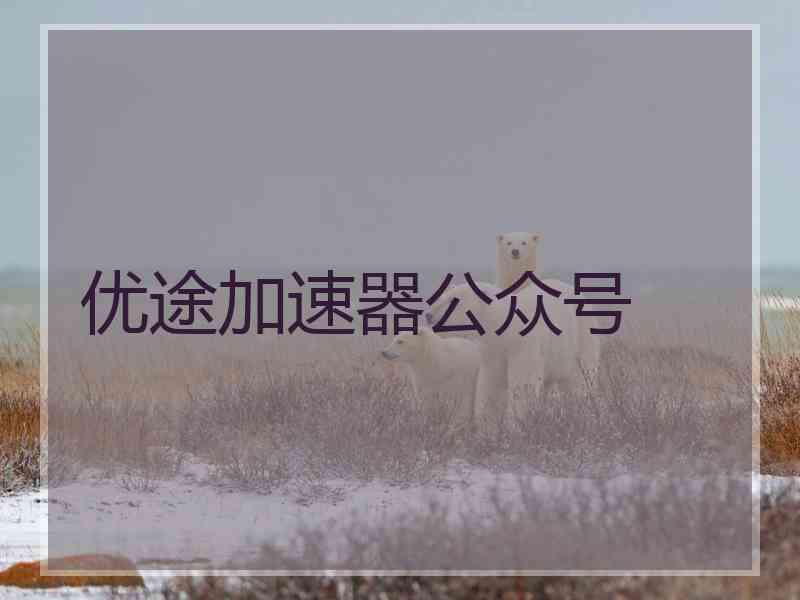 优途加速器公众号
