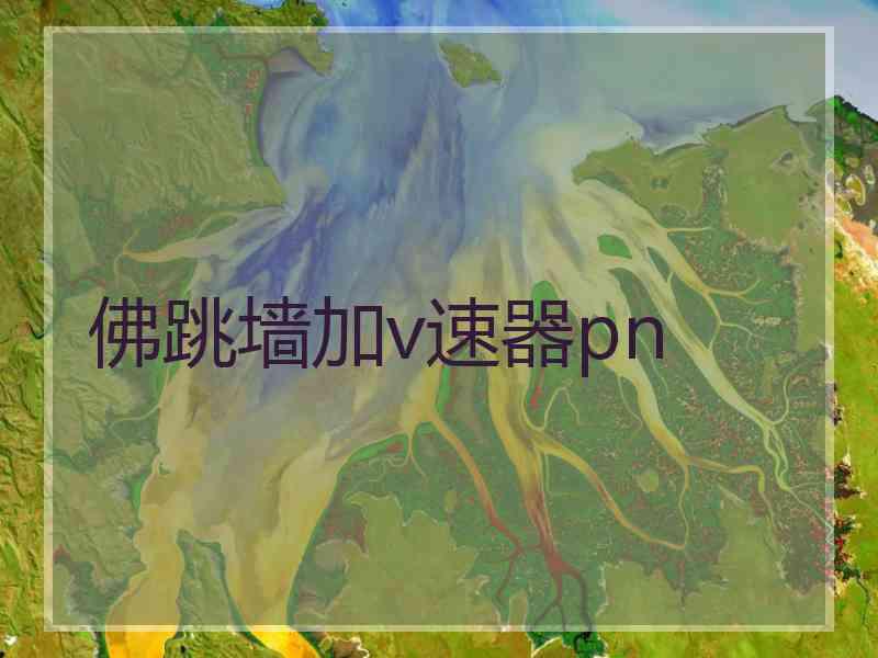 佛跳墙加v速器pn
