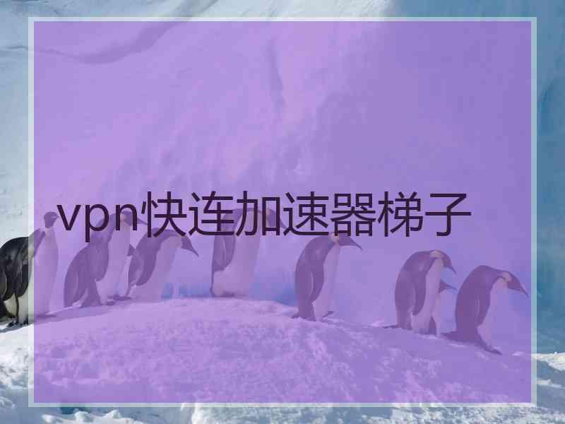 vpn快连加速器梯子