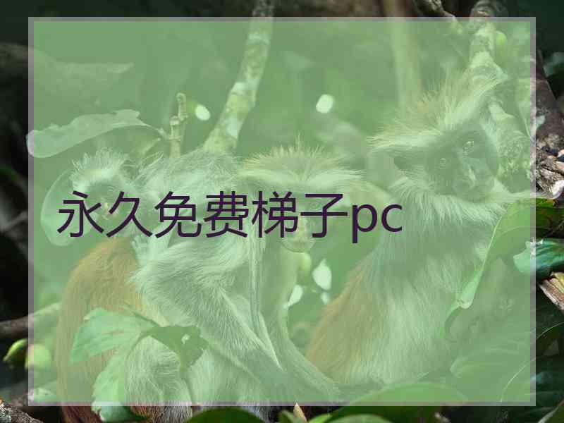 永久免费梯子pc