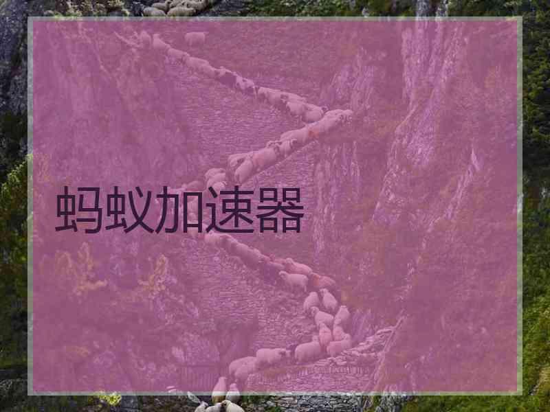 蚂蚁加速器