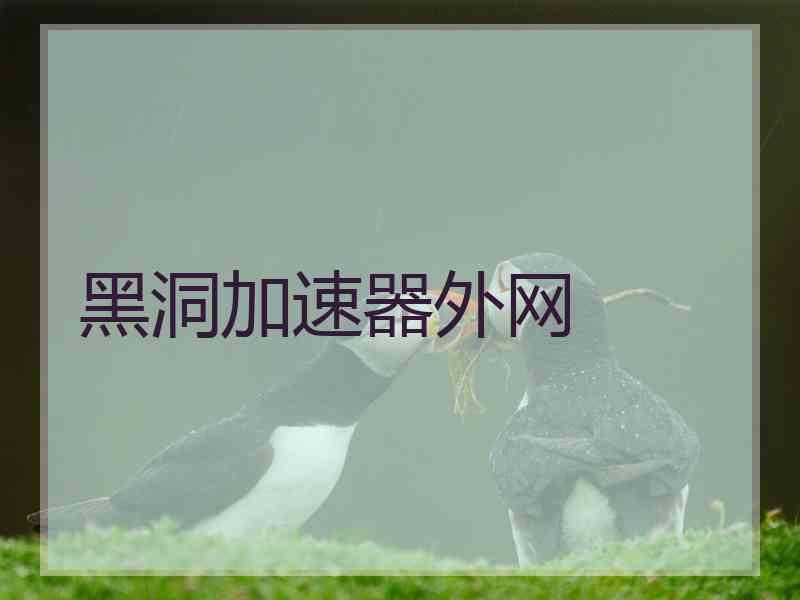 黑洞加速器外网