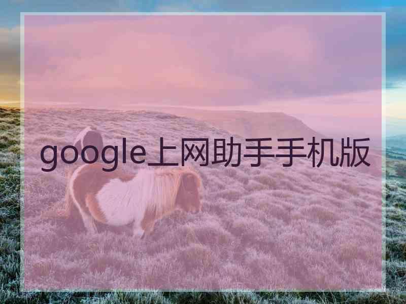 google上网助手手机版