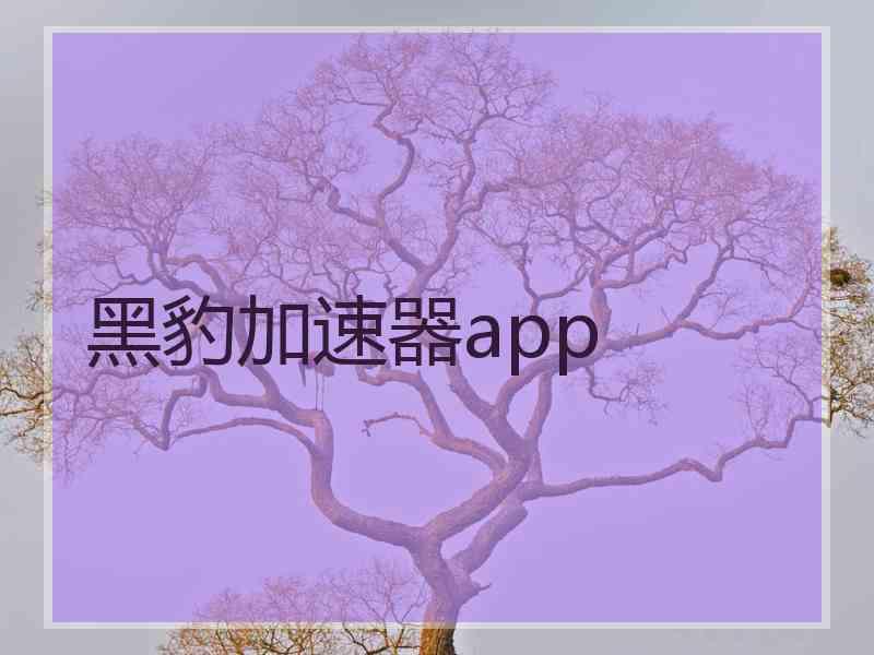 黑豹加速器app