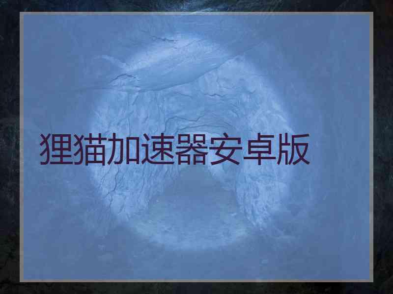狸猫加速器安卓版