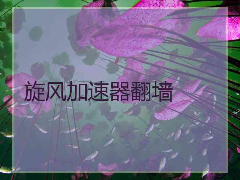 旋风加速器翻墙