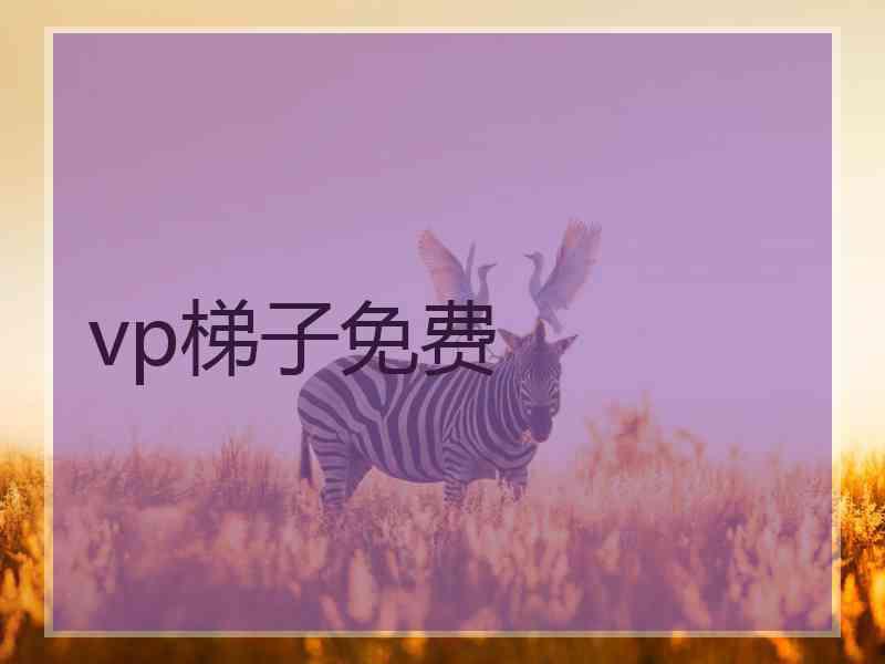 vp梯子免费