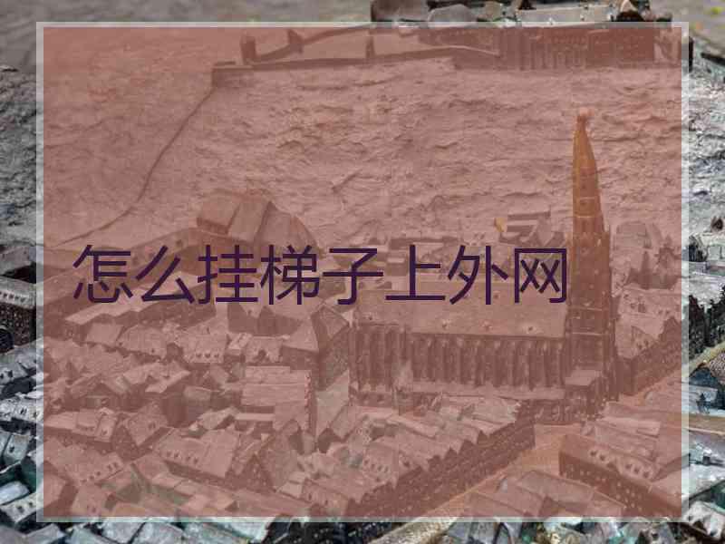 怎么挂梯子上外网