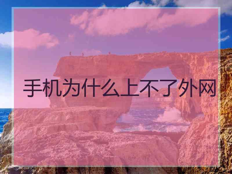 手机为什么上不了外网