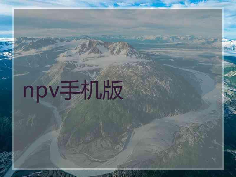 npv手机版