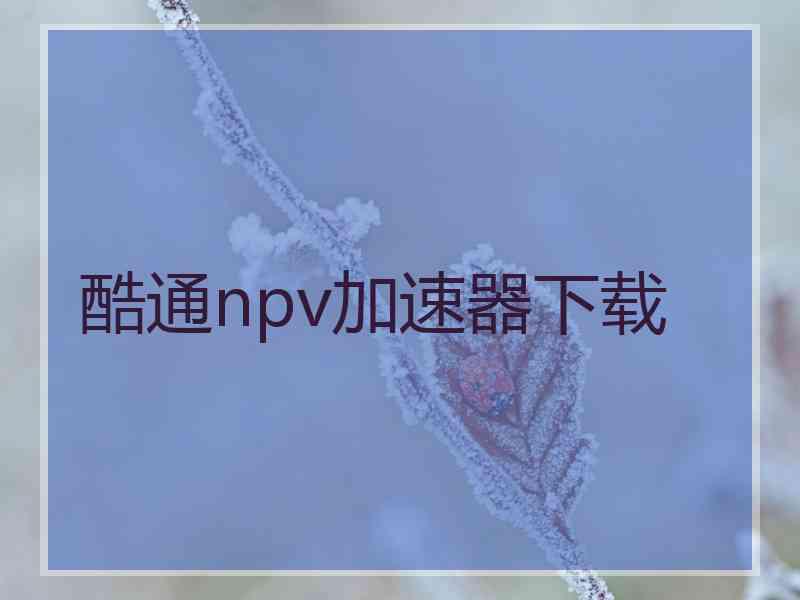 酷通npv加速器下载