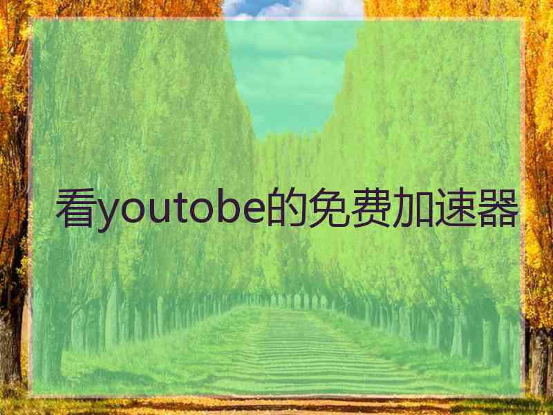 看youtobe的免费加速器