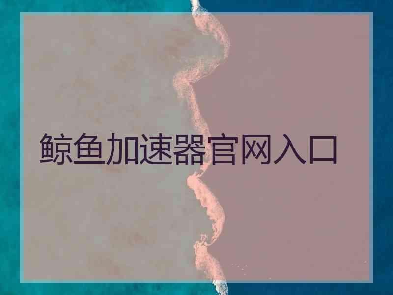 鲸鱼加速器官网入口