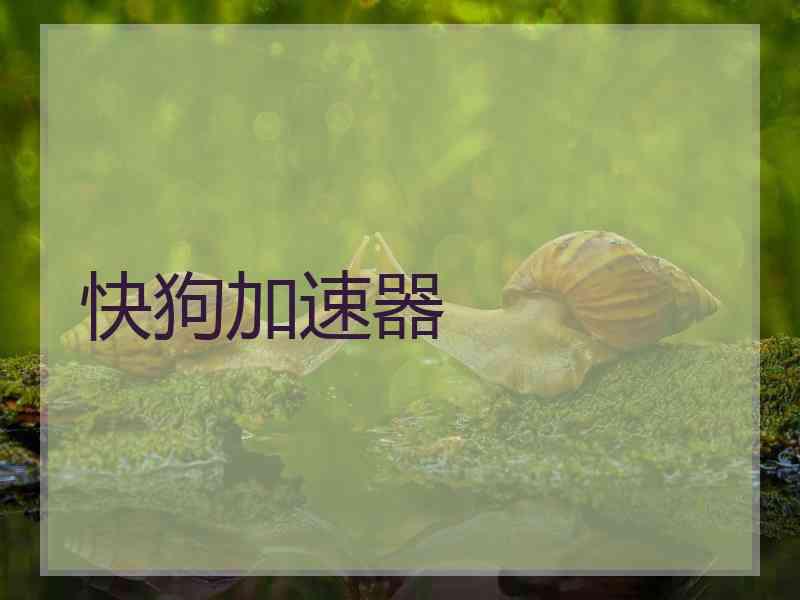快狗加速器