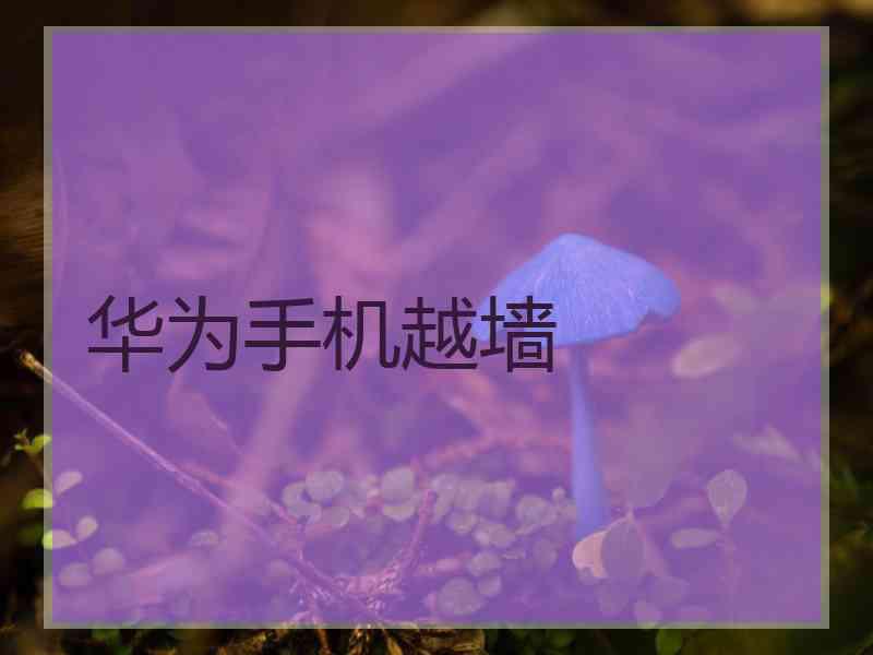 华为手机越墙