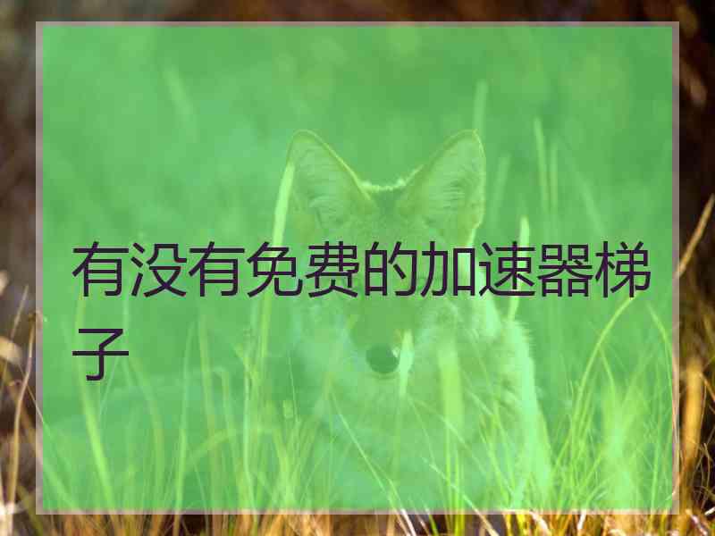 有没有免费的加速器梯子