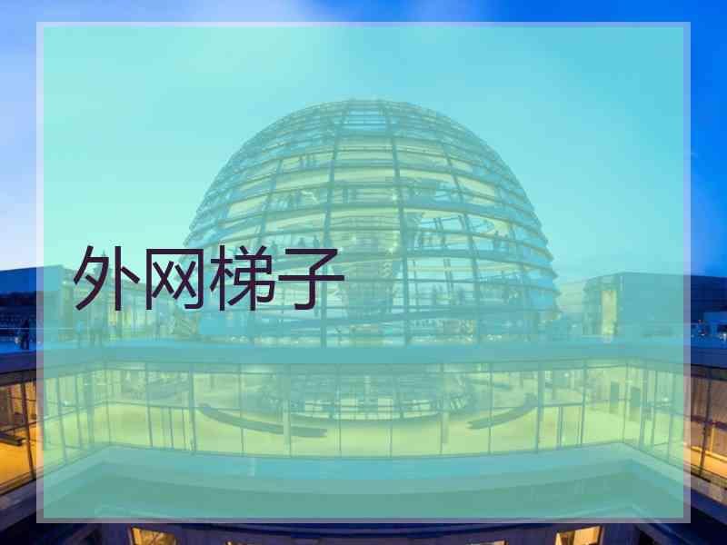外网梯子