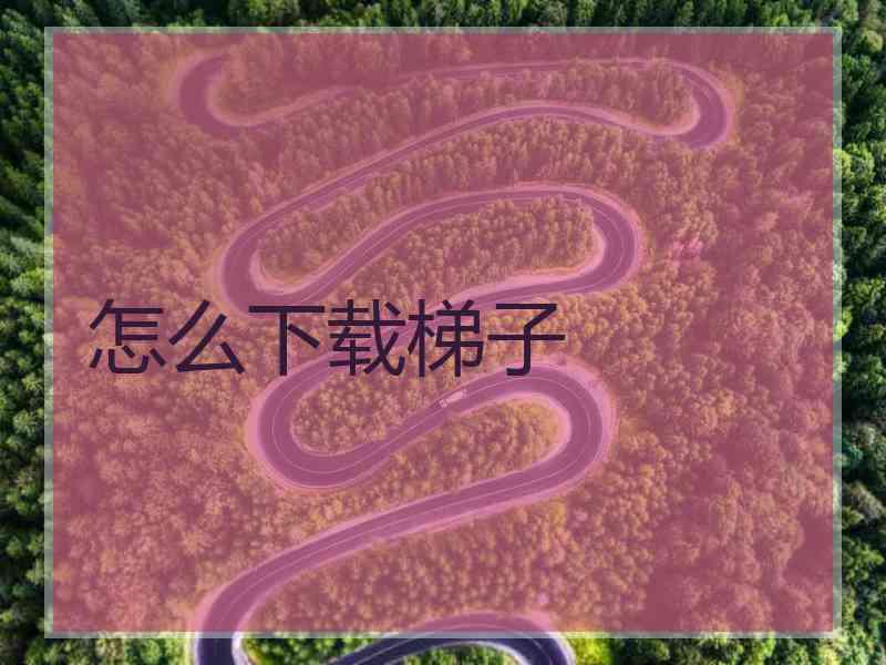 怎么下载梯子