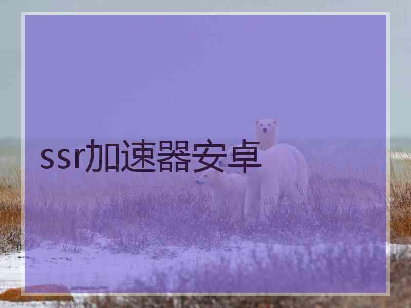 ssr加速器安卓