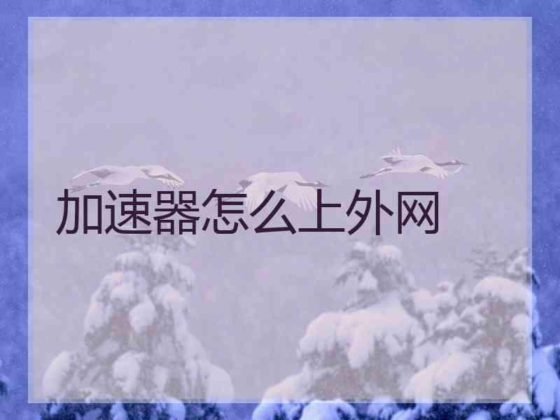 加速器怎么上外网