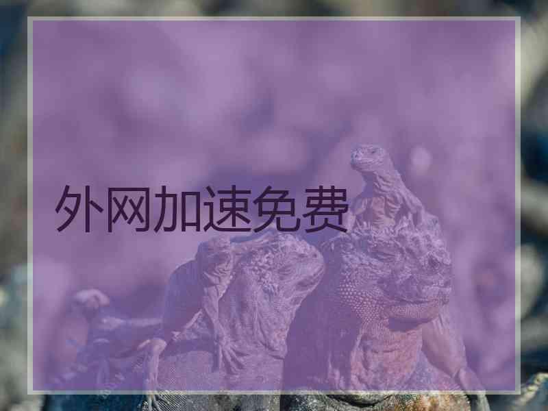 外网加速免费