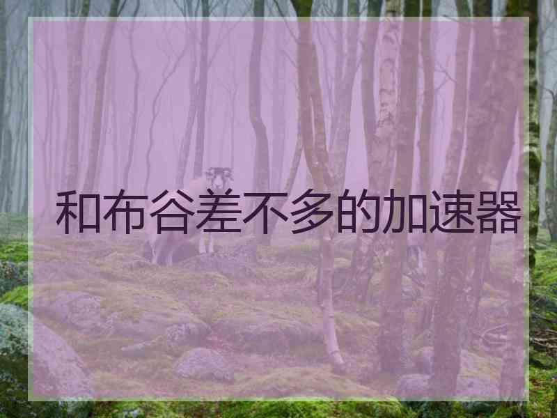 和布谷差不多的加速器