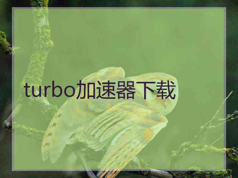 turbo加速器下载