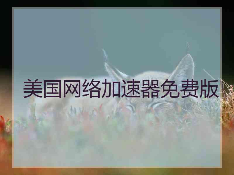 美国网络加速器免费版